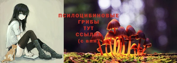 дмт Белокуриха