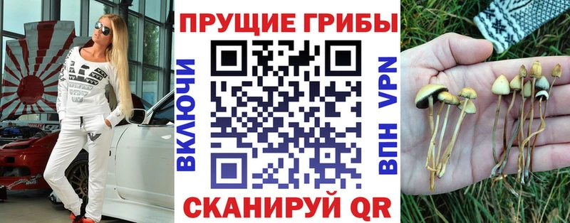 Псилоцибиновые грибы MAGIC MUSHROOMS  площадка состав  Светлый 
